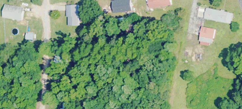 Bear Creek, AL 35543
