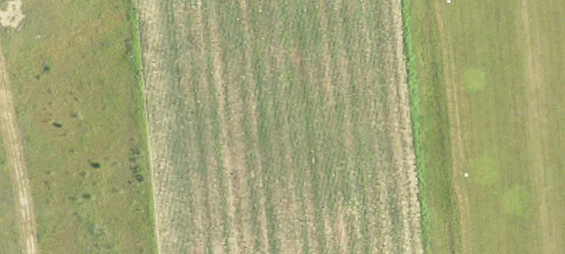 County Rd 99