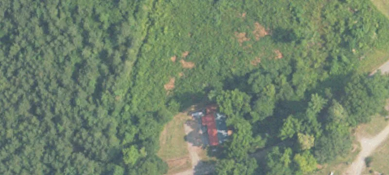 Delta, AL 36258
