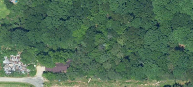 Hamilton, AL 35570