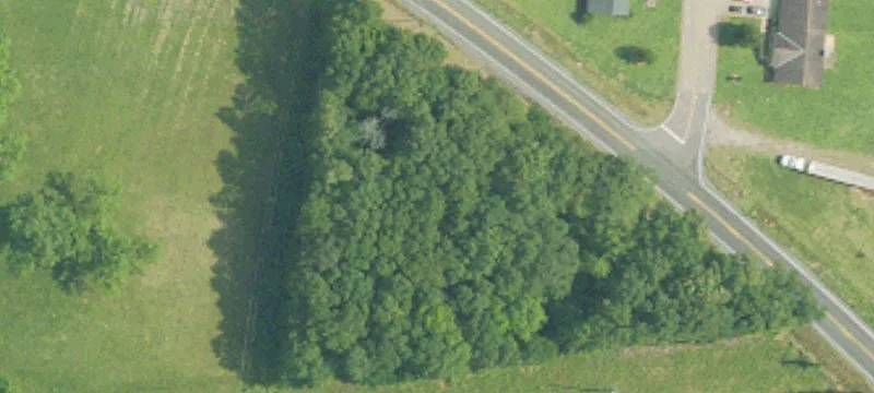 Eutaw, AL 35462