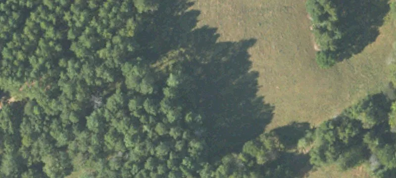 Woodland, AL 36280