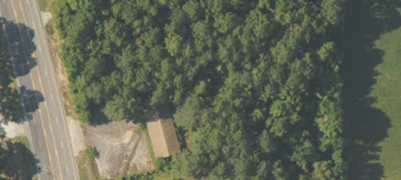 Brundidge, AL 36010