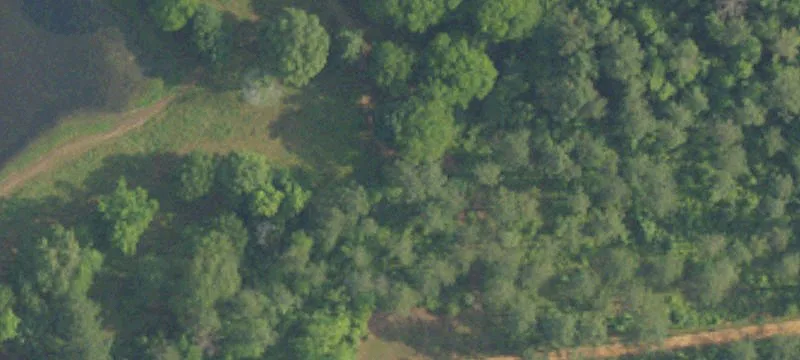 Eutaw, AL 35462