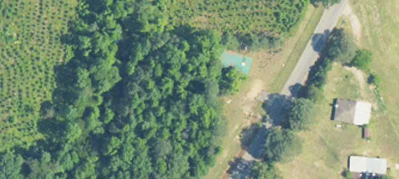 Arley, AL 35541