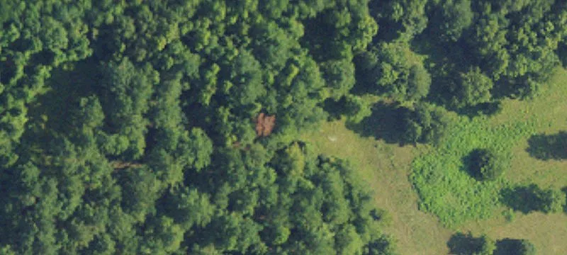 Cooper Cemetary Rd
