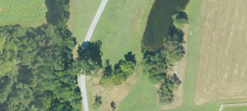 Albertville, AL 35951
