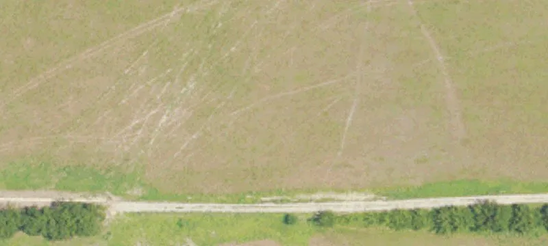 Fischer Rd