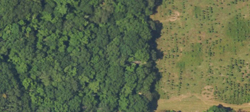 Troy, AL 36081
