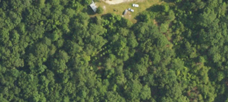 County Rd 7703