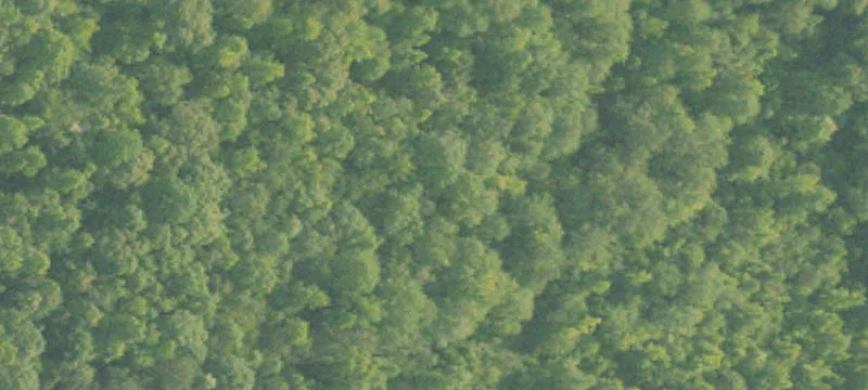  Camp
