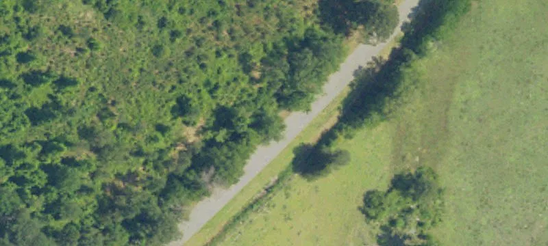 Livingston, AL 35470