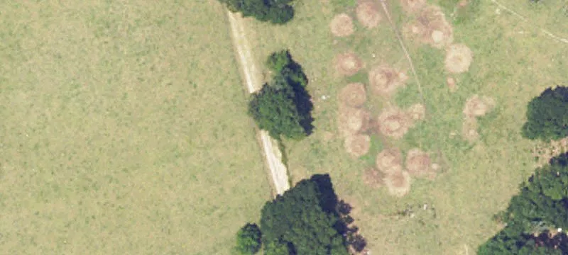 14162 Hwy 239