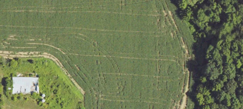 Henagar, AL 35978