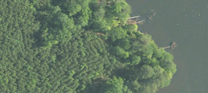 529 County Rd 134