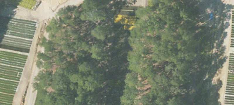 Heflin, AL 36264