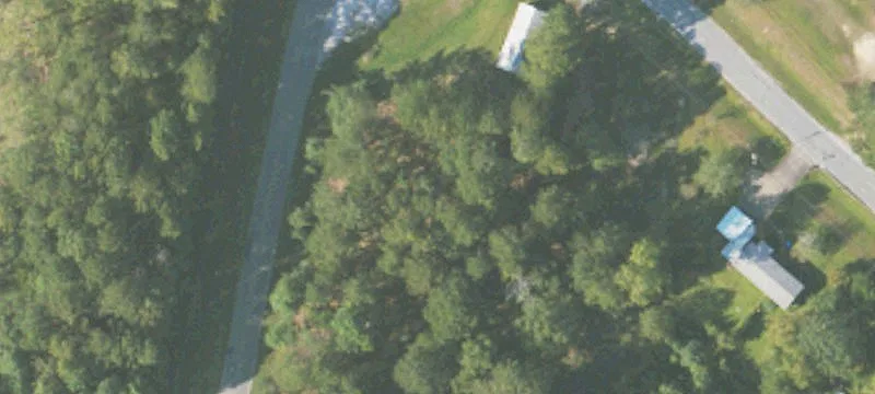 Roanoke, AL 36274