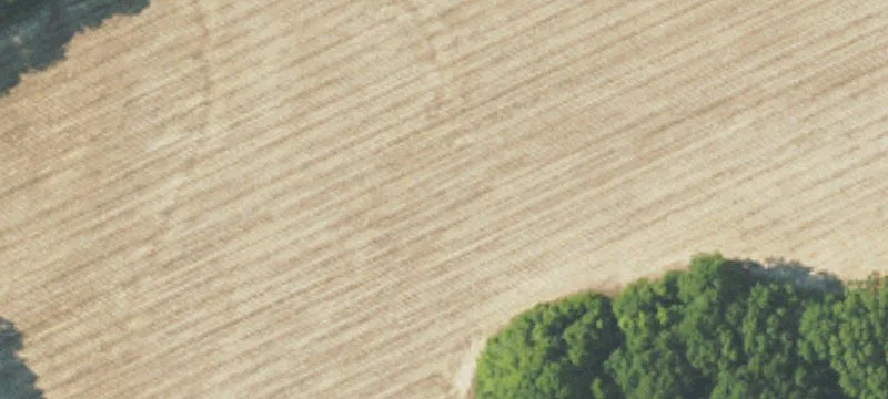 Brundidge, AL 36010