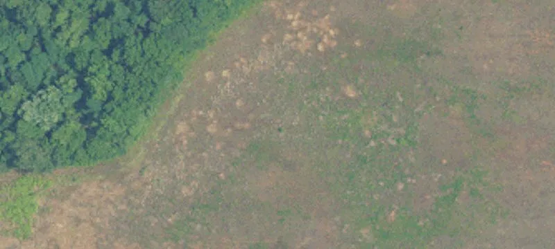 25295 Us Hwy 72