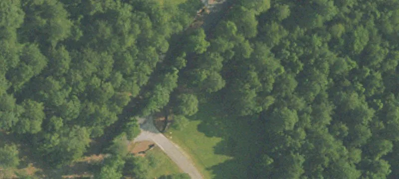 Cecil, AL 36013