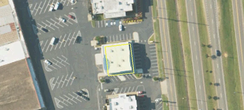 Boll Weevil Cir