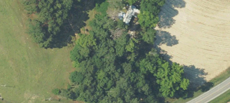 Brundidge, AL 36010