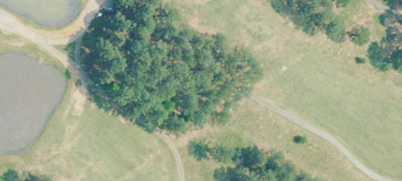 Al State Hwy 43