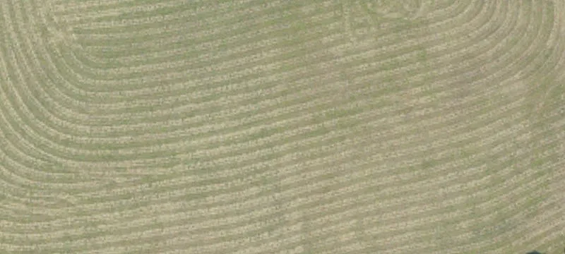 Bridgeport, AL 35740