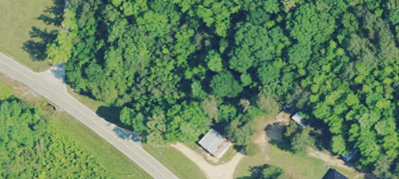 Al State Hwy 19