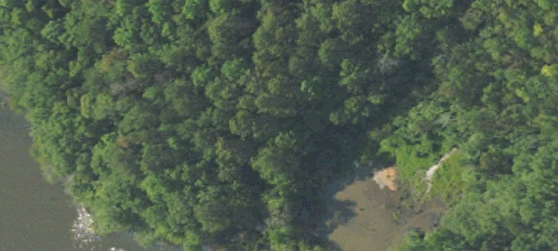 Troy, AL 36081