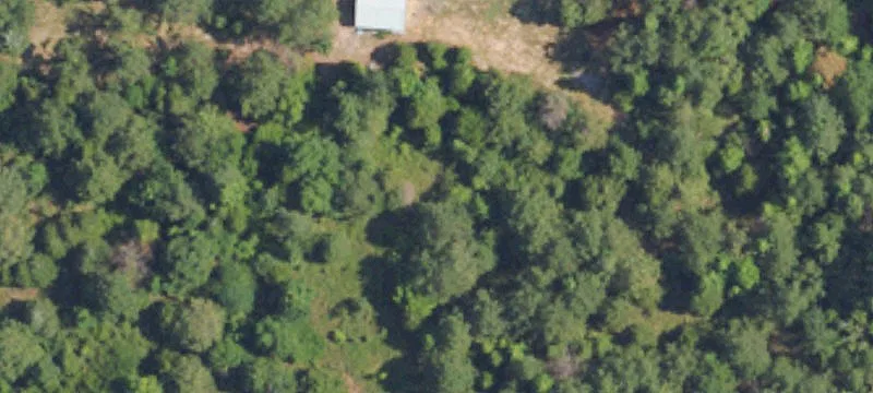 Prattville, AL 36067