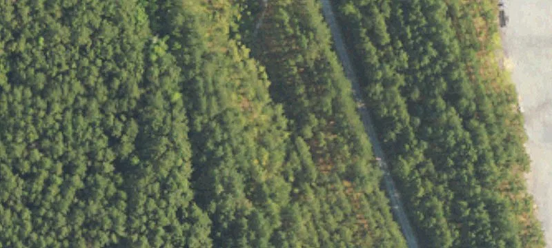 Billingsley, AL 36006
