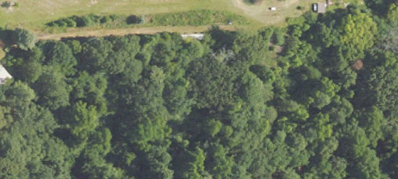 2588 County Rd 85