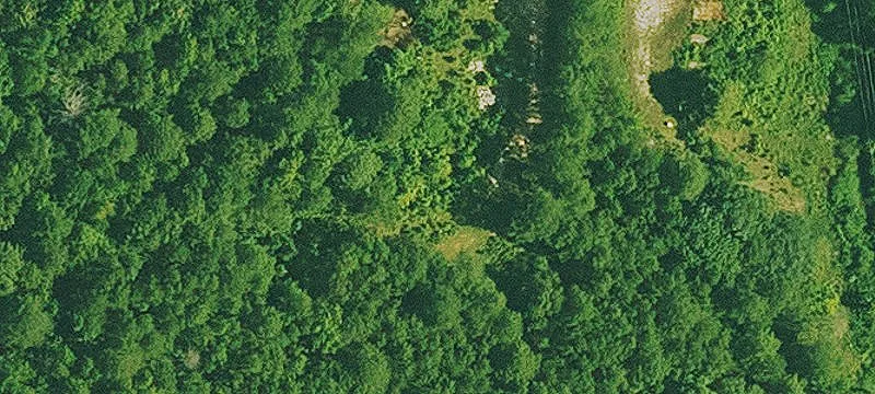 Hwy 298