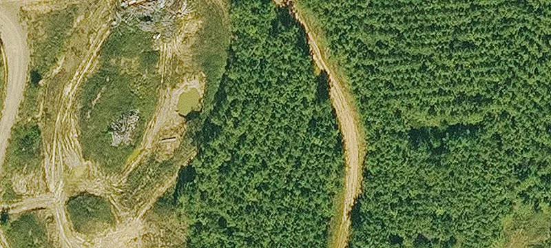Timber Ln