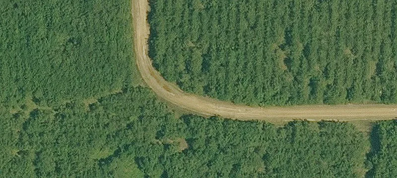 Hwy 203