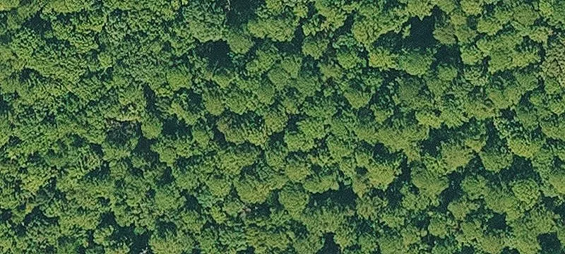 Tp 180