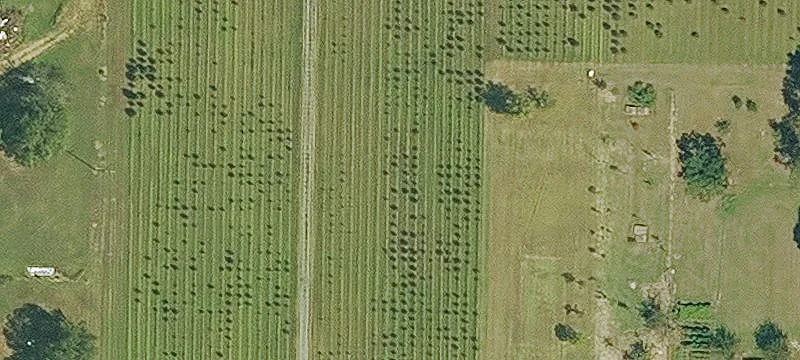 1476 Hwy 294