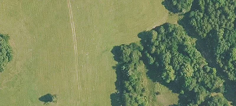 Quitman, AR 72131