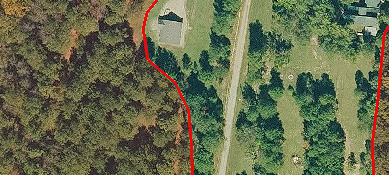Lizard Ln