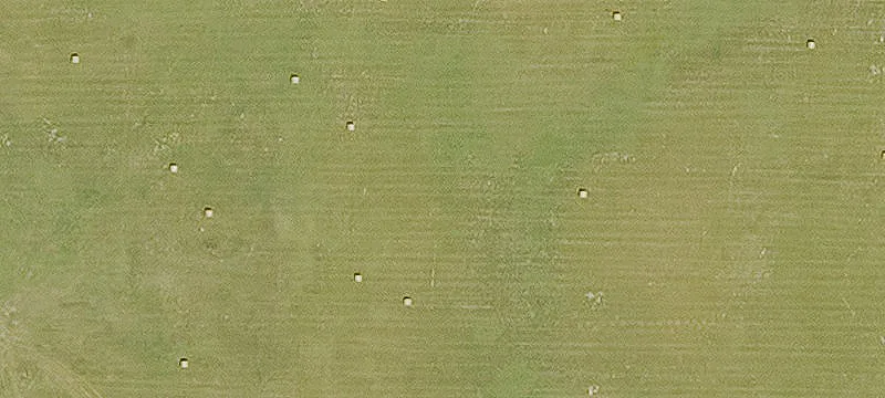 Lonoke, AR 72086