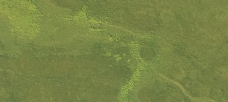Siloam Springs, AR 72761