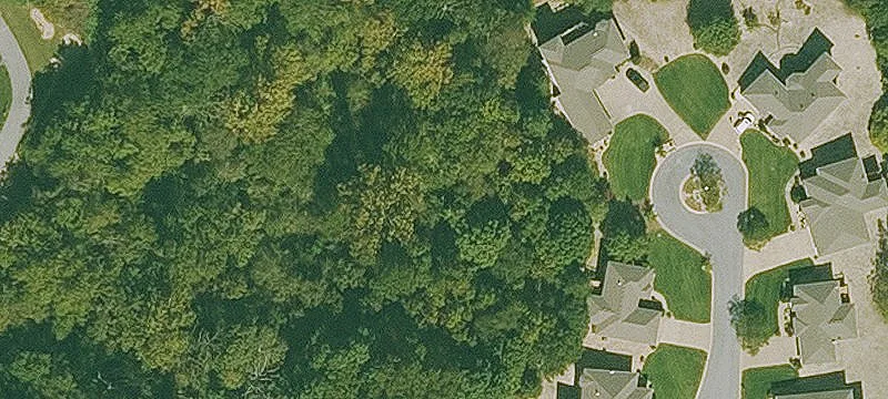 Ventnor Dr