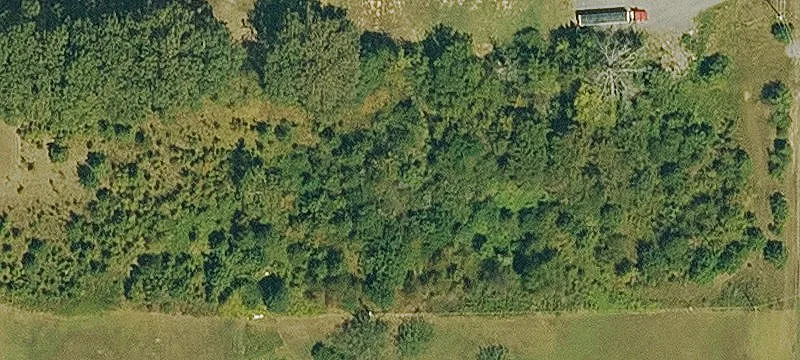 Ward, AR 72176
