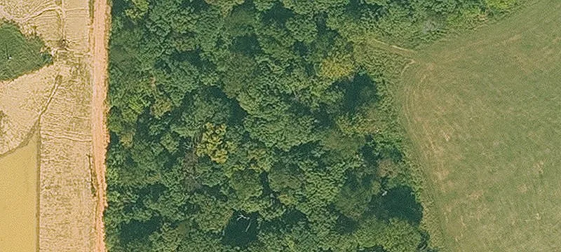 Tontitown, AR 