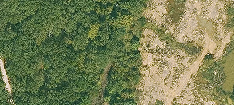 11349 Rustling Oaks Rd