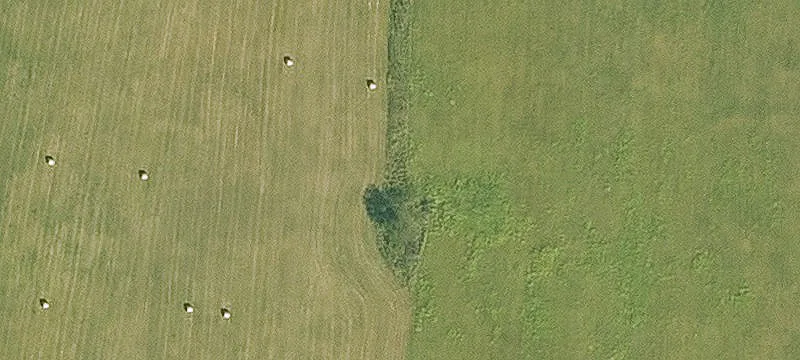 Old Wire Rd