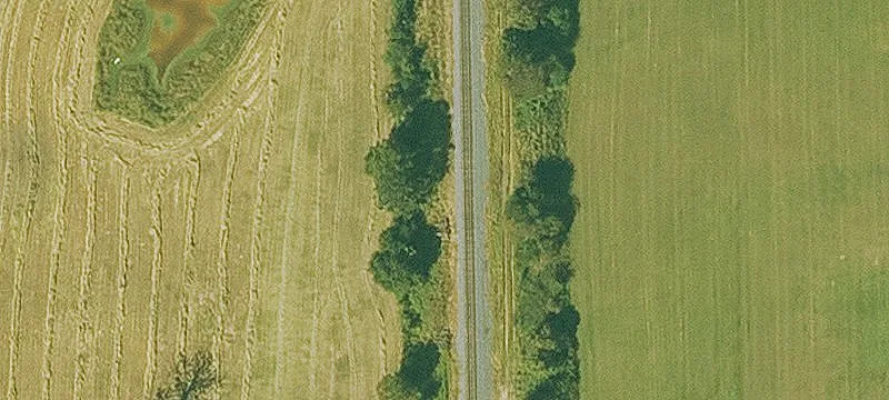 Siloam Springs, AR 72761