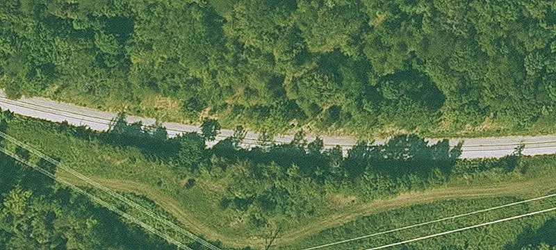 Marion Lee Rd