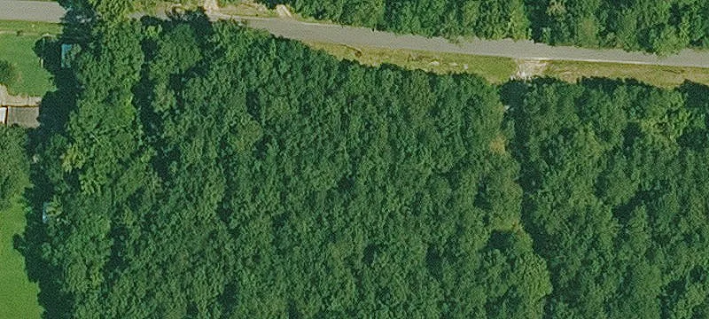 Traskwood, AR 72167